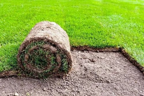 How Natural Carpet Grass Can Boost Your Home’s Value and Attract Potential Buyers in Uganda and Worldwide