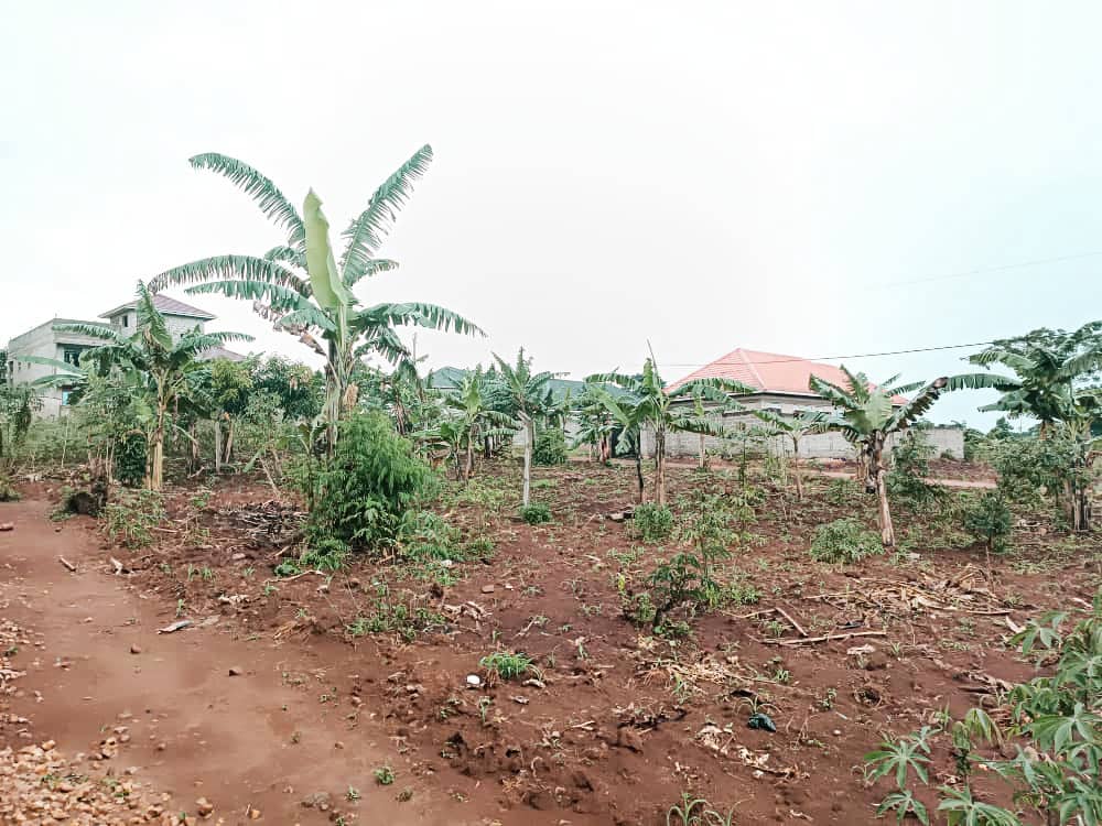 Residential Land for Sale in Namugongo Kiwango – Uganda