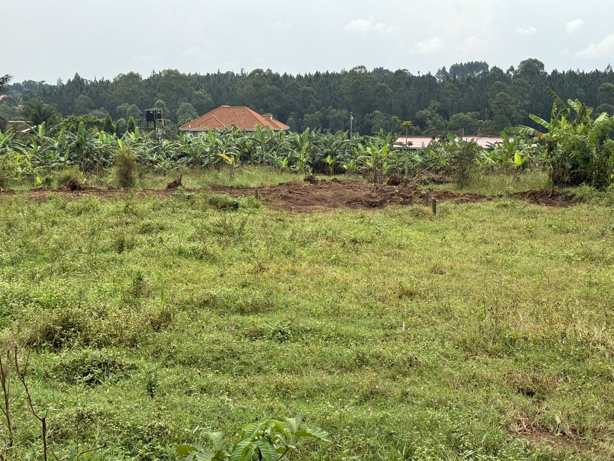 12-Decimals Plots for Sale in Gayaza Kiwenda, Uganda
