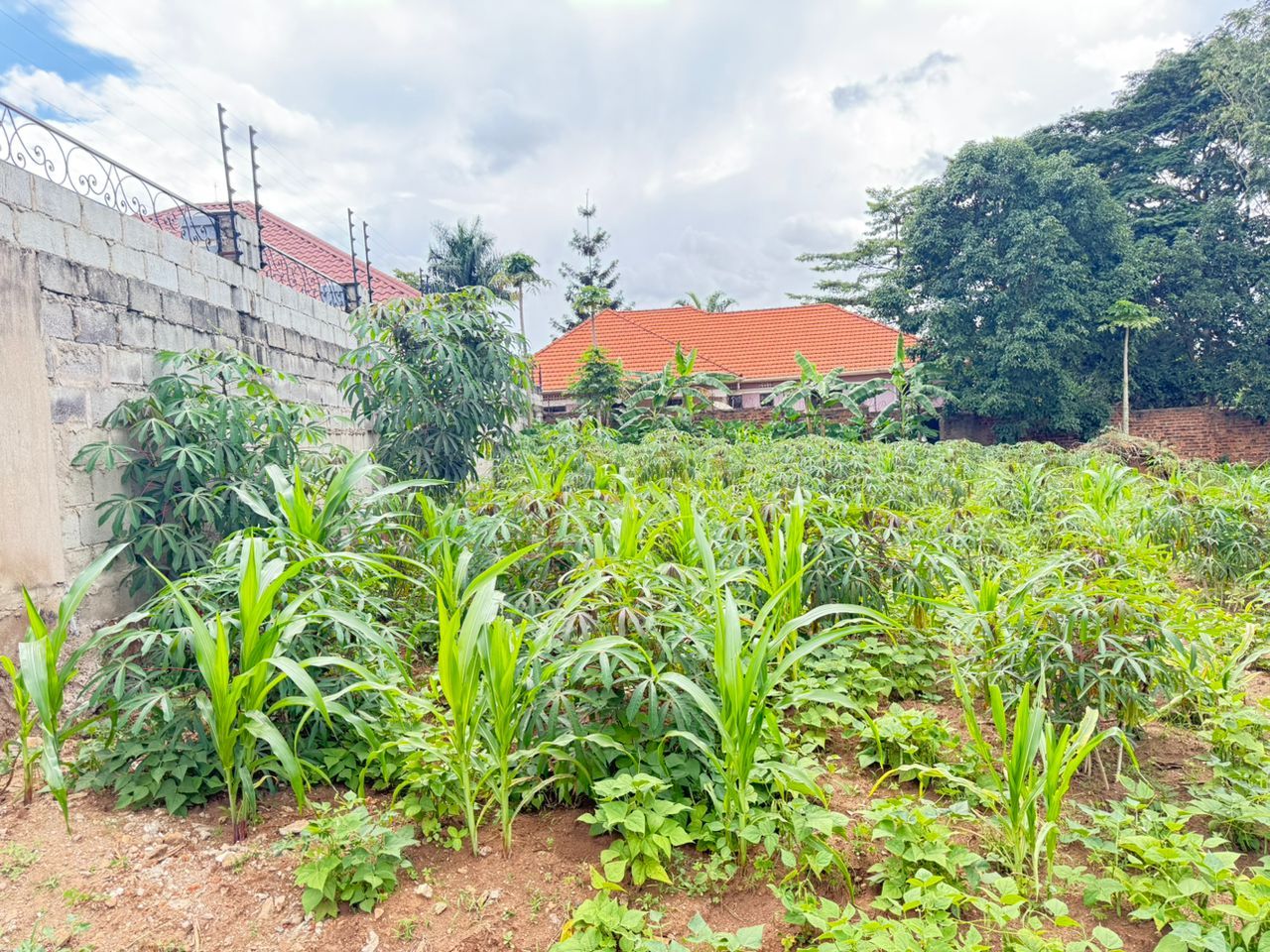 12-Decimals Plot for Sale in Namugongo, Uganda