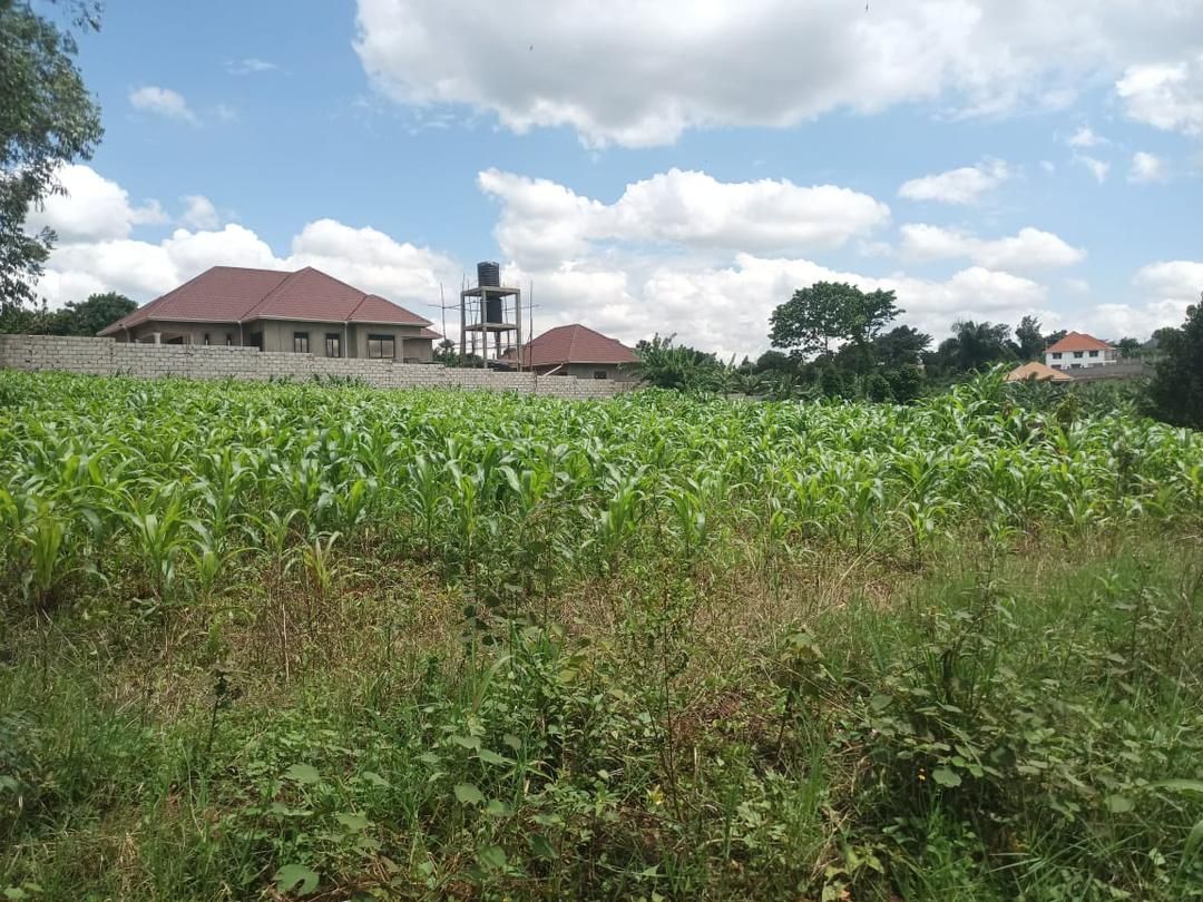 3 Acres of Land for Sale in Gayaza Kiwenda, Uganda