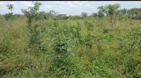 7 Square Miles of Farmland for Sale in Kayunga, Uganda